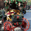 Big Thunder Mountain Ranch Reindeer Roundup, December 2009