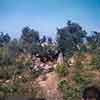 Disneyland Burning Cabin photo, October 16, 1956