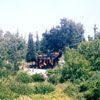 The Burning Cabin, July 1960