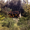 Disneyland Burning Cabin photo May 1963