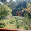 Disneyland Burning Cabin photo, September 1965