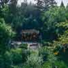 The Burning Cabin at Disneyland July 1967