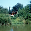 Disneyland The Burning Cabin photo, July 1960