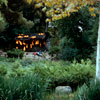 Disneyland Burning Cabin photo, October 1972