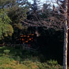 Disneyland Burning Cabin photo, February 1971