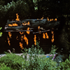 The Burning Cabin, September 1965