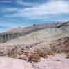 Desert near Barstow California, February 1957 photo