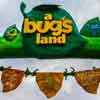 Disney California Adventure A Bug's Land May 2016