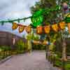 Disney California Adventure A Bug's Land May 2016