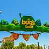 Bug’s Land, June 2008