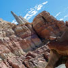 Radiator Springs Racers at DCA September 2012