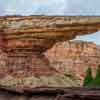 Radiator Springs Racers at Disney California Adventure May 2016