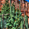 Radiator Springs Racers at DCA opening day June 15, 2012