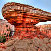 Radiator Springs Racers at DCA opening day June 15, 2012