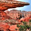 Radiator Springs Racers at DCA opening day June 15, 2012