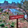 Radiator Springs Racers at DCA opening day June 15, 2012