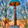 Radiator Springs Racers at DCA opening day June 15, 2012