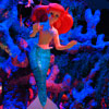 Disney California Adventure Little Mermaid attraction July 2012