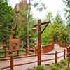 Redwood Creek Challenge Trail May 2011