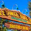 DCA Redwood Creek Challenge Trail, September 2007