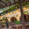 Disney California Adventure Wine Country Trattoria May 2016