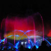 Disney California Adventure World of Color photo, February 25, 2011