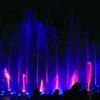 Disney California Adventure World of Color photo, February 25, 2011