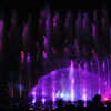 Disney California Adventure World of Color photo, February 25, 2011