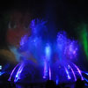 Disney California Adventure World of Color photo, February 25, 2011