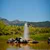 Daveland Old Faithful Geyser in Calistoga photo, June 2009