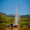 Daveland Old Faithful Geyser in Calistoga photo, June 2009