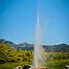 Daveland Old Faithful Geyser in Calistoga photo, June 2009