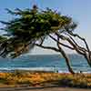 Cambria, California, May 2010