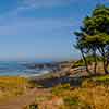 Cambria, California, May 2010