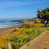 Cambria, California May 2010