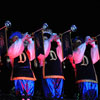 Disneyland Candlelight Processional, December 6, 2009