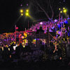 Disneyland Candlelight Processional photo starring Gary Sinise, December 3, 2011