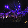 Disneyland Candlelight Processional photo starring Gary Sinise, December 3, 2011