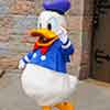 Donald Duck at Disneyland Sleeping Beauty Castle photo, May 2008