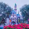 Disneyland Sleeping Beauty Castle photo, 1960s