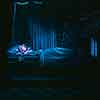 Disneyland Sleeping Beauty Diorama interior photo