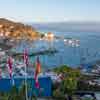 Catalina Island, November 2020