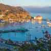 Catalina Island, November 2020