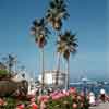 Vintage photo of Catalina Island, September 1960