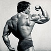 Bodybuilder Arnold Schwarzenegger