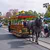 Disneyland Central Plaza Horse-Drawn Street Car, May 2006