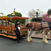 Disneyland Central Plaza April 2012