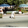 Disneyland Central Plaza 1956/1957