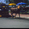 Central Plaza, July 1962