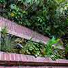 Poolside cottage area, Chateau Marmont, July 2017